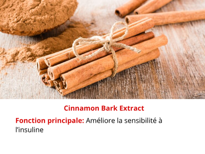 img- (764 x 430 px) (10)