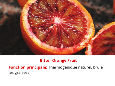 img- (764 x 430 px) (11)