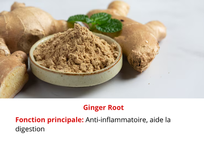 img- (764 x 430 px) (9)